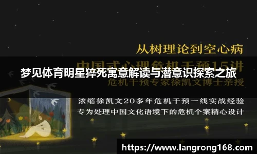 乐发Vll官网